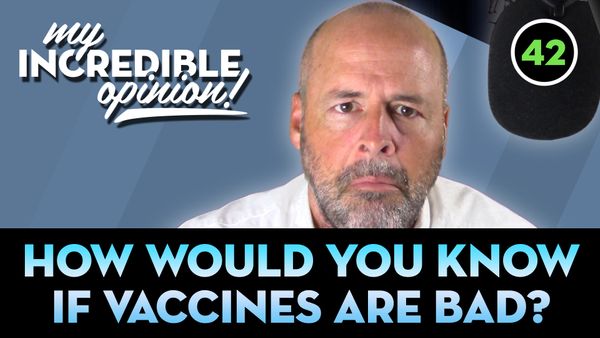 Ep 42- How Would You Know if Vaccines are Bad?